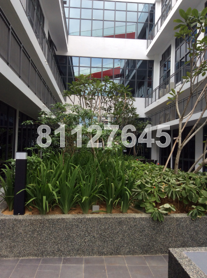 Changi Road (D14), Office #45750322